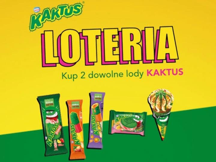 Loteria kaktus: Jak skutecznie zgłosić się i uniknąć pomyłek