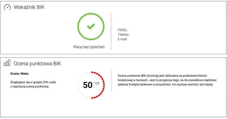 Sekrety skutecznej analizy raportu BIK – jak uniknąć błędów w ocenie kredytowej