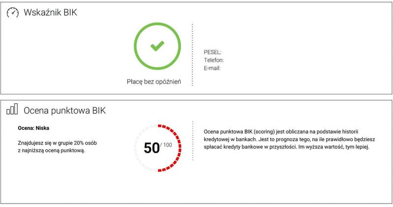 Sekrety skutecznej analizy raportu BIK – jak uniknąć błędów w ocenie kredytowej