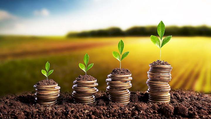 Unikanie pułapek finansowych