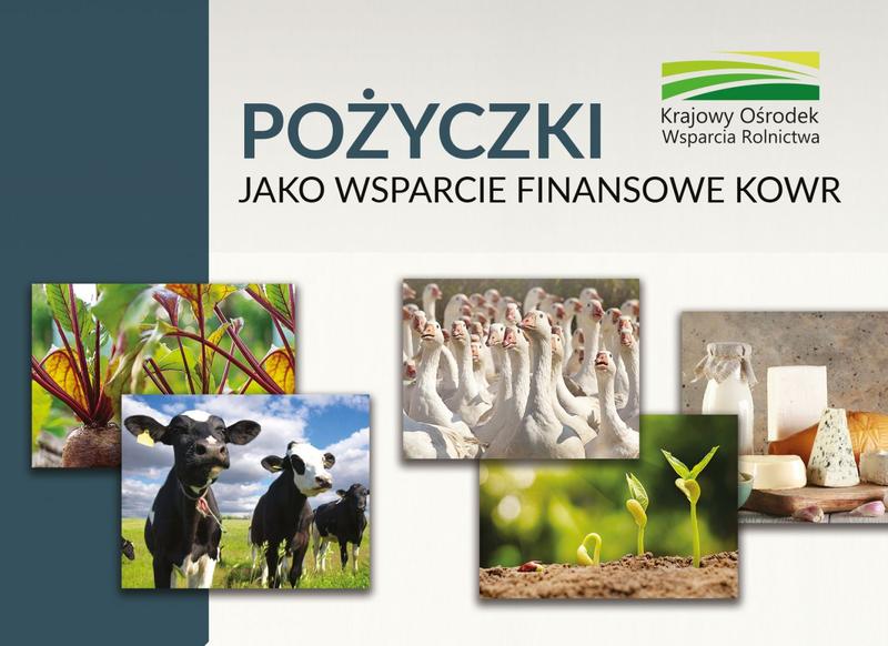 Czy dom maklerski może oferować pożyczki na instrumenty finansowe? Zrozum zasady!