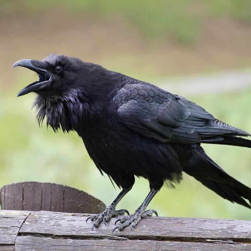 Metody spłaty zadłużeń