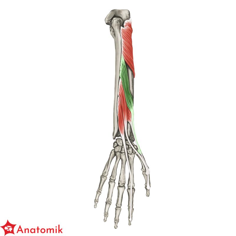 Negocjacje z wierzycielami