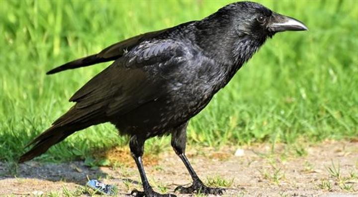 Windykacja KRUK i jej procesy