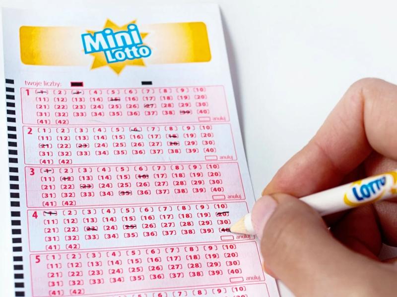 Psychologia gracza lotto