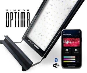 Czy Optima Udziela Pożyczek? Oto Dlaczego Musisz To Wiedzieć