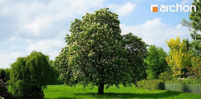 Jak uniknąć problemów finansowych? Sprawdź, czy działka nie jest zadłużona!